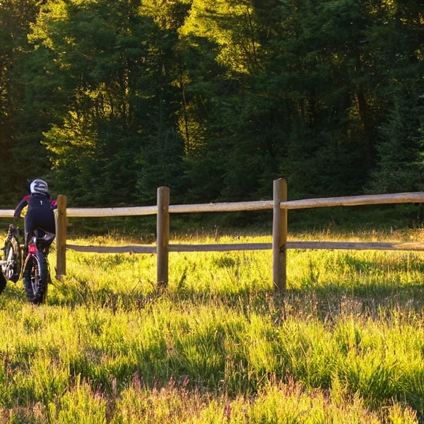Fatbike in de stad